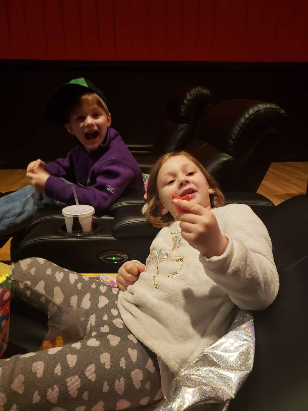 Chesapeake Movies | 21 Washington Square, Chestertown, MD 21620, USA | Phone: (443) 282-0065