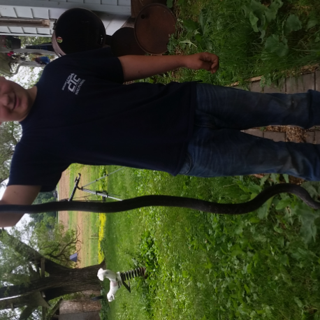 Snake removal snake proofing today | 10656 Keysville Rd, Emmitsburg, MD 21727, USA | Phone: (301) 748-8372