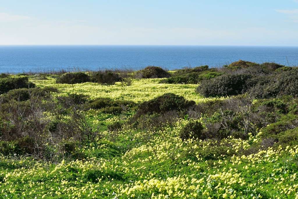 Pillar Point Bluff | Airport St, Moss Beach, CA 94038, USA | Phone: (650) 355-8289