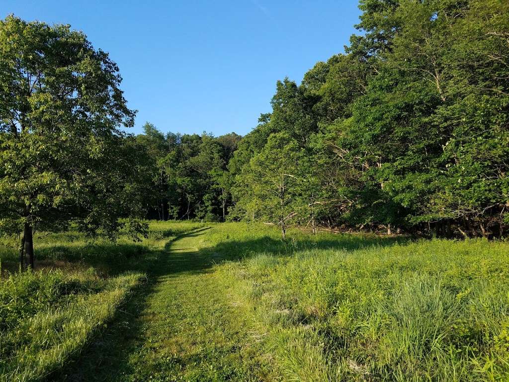 Rachel Carson Conservation Park | 22201 Zion Rd, Brookeville, MD 20833, USA | Phone: (301) 670-8080