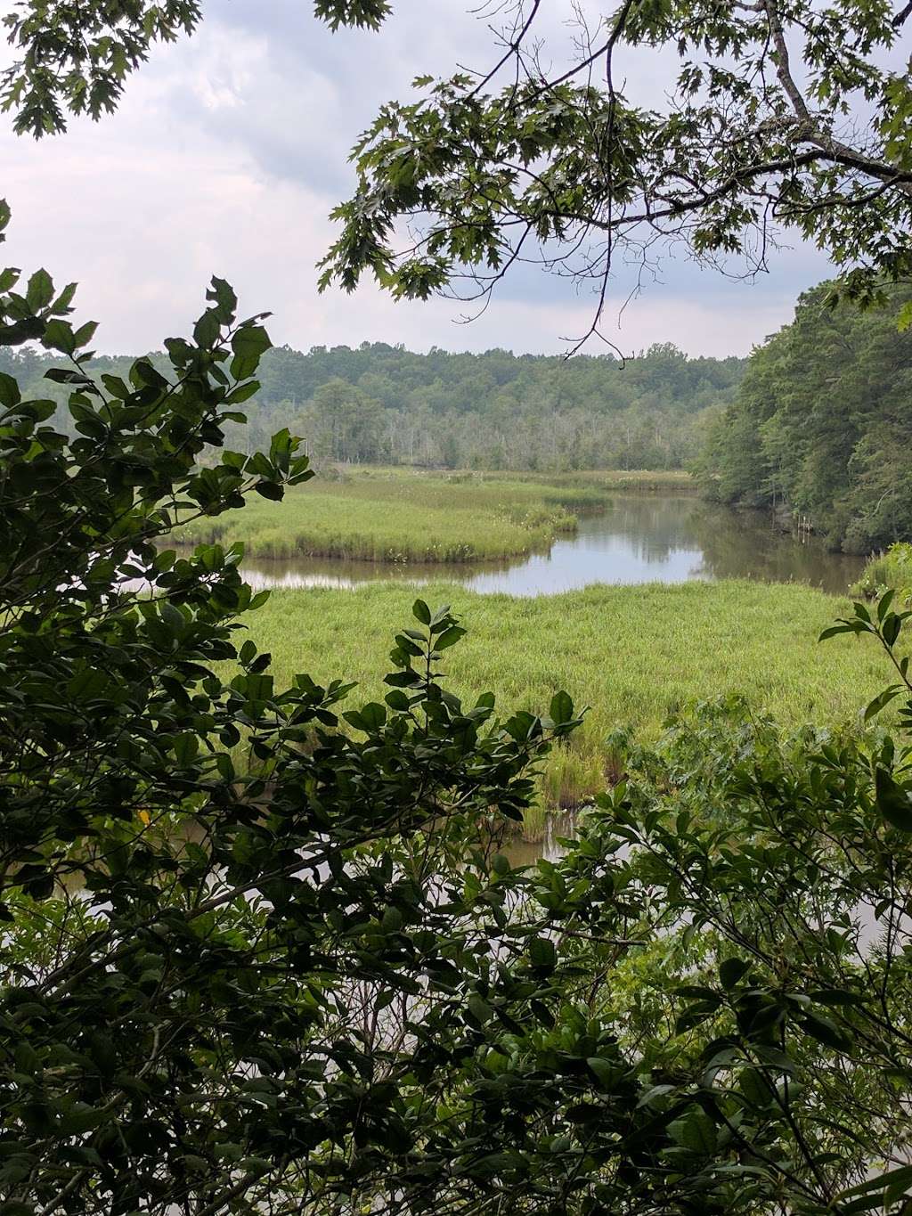 Bush Mill Stream Natural Area Preserve | Heathsville, VA 22473, USA | Phone: (804) 786-7951
