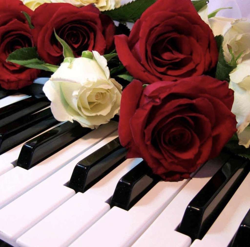 Five Little Fingers Piano Studio | 9400 Longstone Dr, Parker, CO 80134, USA | Phone: (303) 817-9626