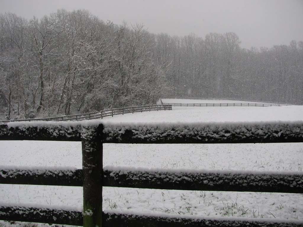 Graham Equestrian Center | 10301 Harford Rd, Glen Arm, MD 21057, USA | Phone: (410) 663-4445