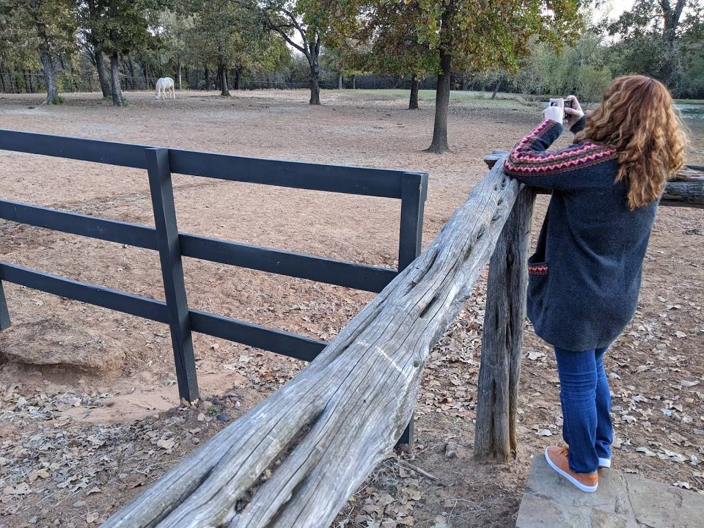 Unbridled Horse Therapy | 1100 Simmons Rd, Flower Mound, TX 75022 | Phone: (817) 319-7778