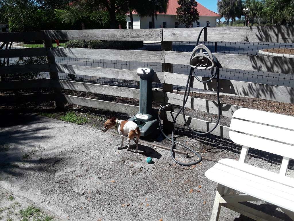 Brinson/Perry Dog Park | 1231 Bonita Blvd, The Villages, FL 32162, USA | Phone: (352) 674-1800