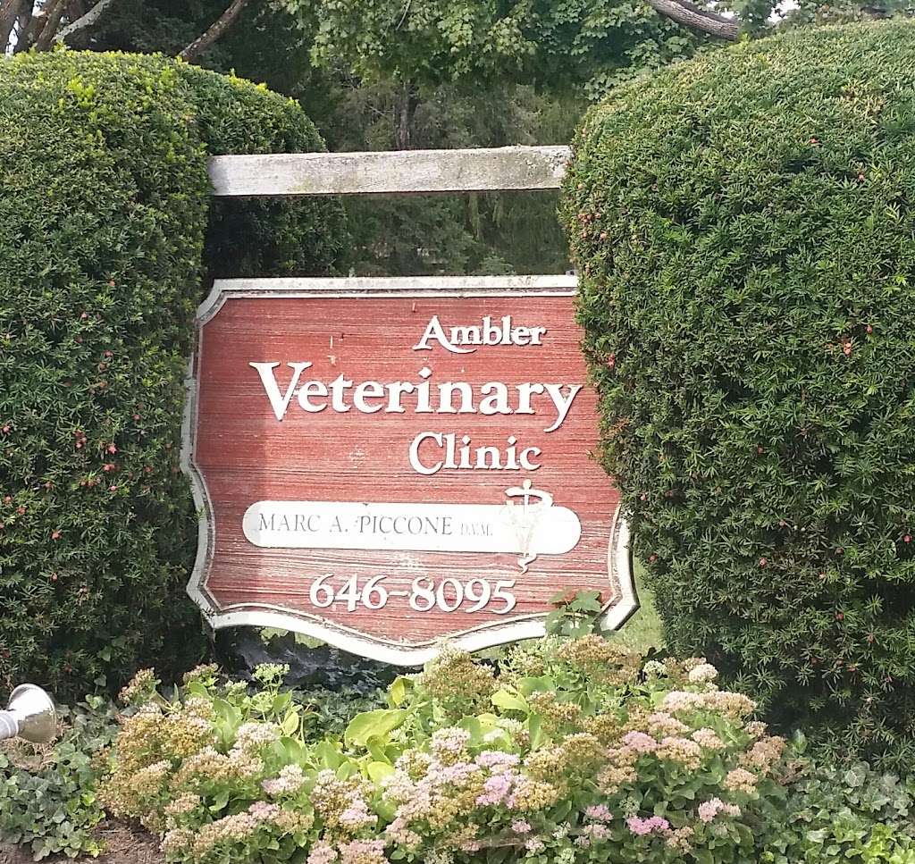 Ambler Veterinary Clinic | 419 N Spring Garden St, Ambler, PA 19002, USA | Phone: (215) 646-8095