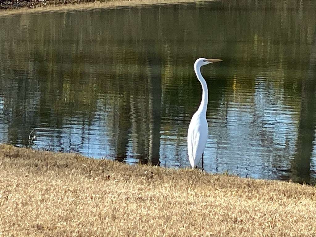 East Lake Pond | Coppell, TX 75019, USA