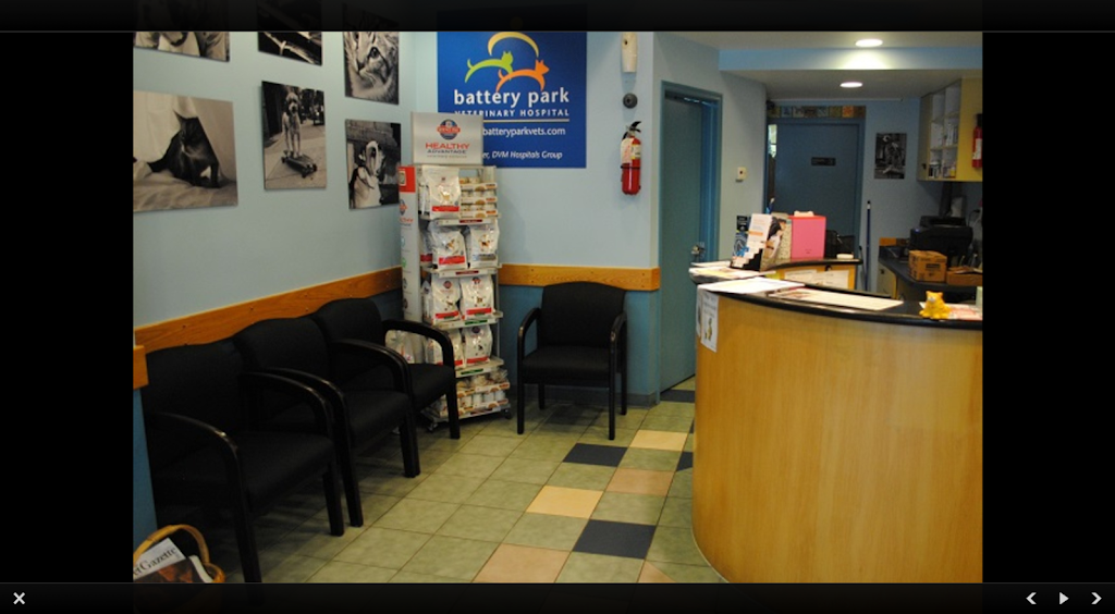 Battery Park Veterinary Hospital | 21 South End Ave, New York, NY 10280, USA | Phone: (646) 561-9225