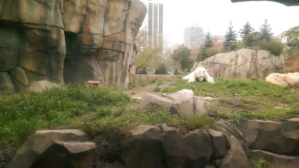 Lincoln Park Zoo Walter Family Arctic Tundra | 2262-2332 N Cannon Dr, Chicago, IL 60614, USA