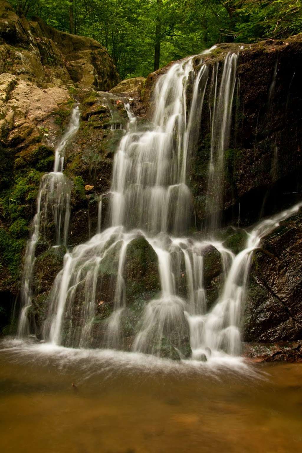 Patapsco Valley State Park - Avalon Area | 5120 South Street, Baltimore, MD 21227, USA | Phone: (410) 461-5005