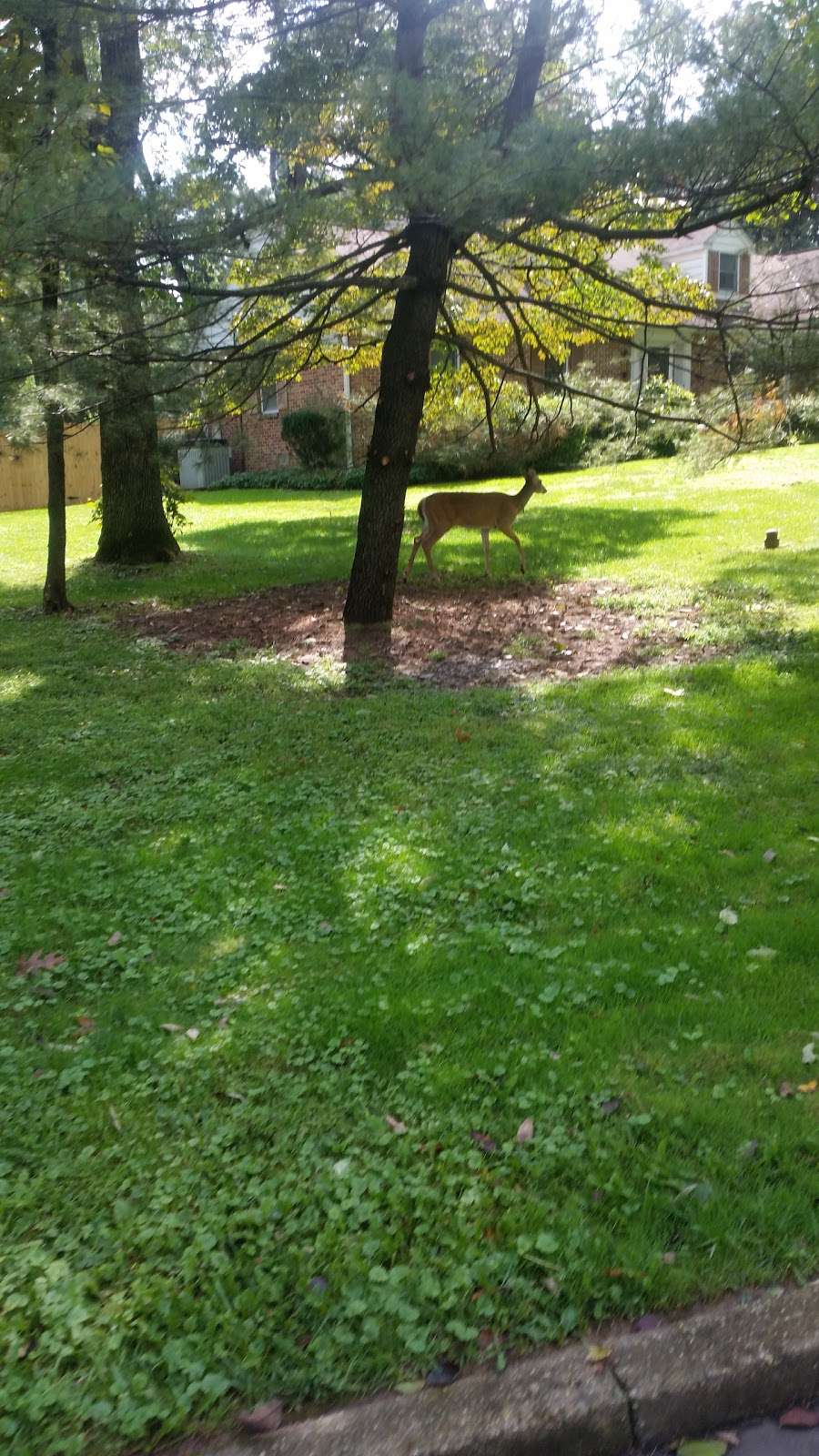 Fellowship Park in 199 Meadowood Dr, Lansdale, PA 19446, USA