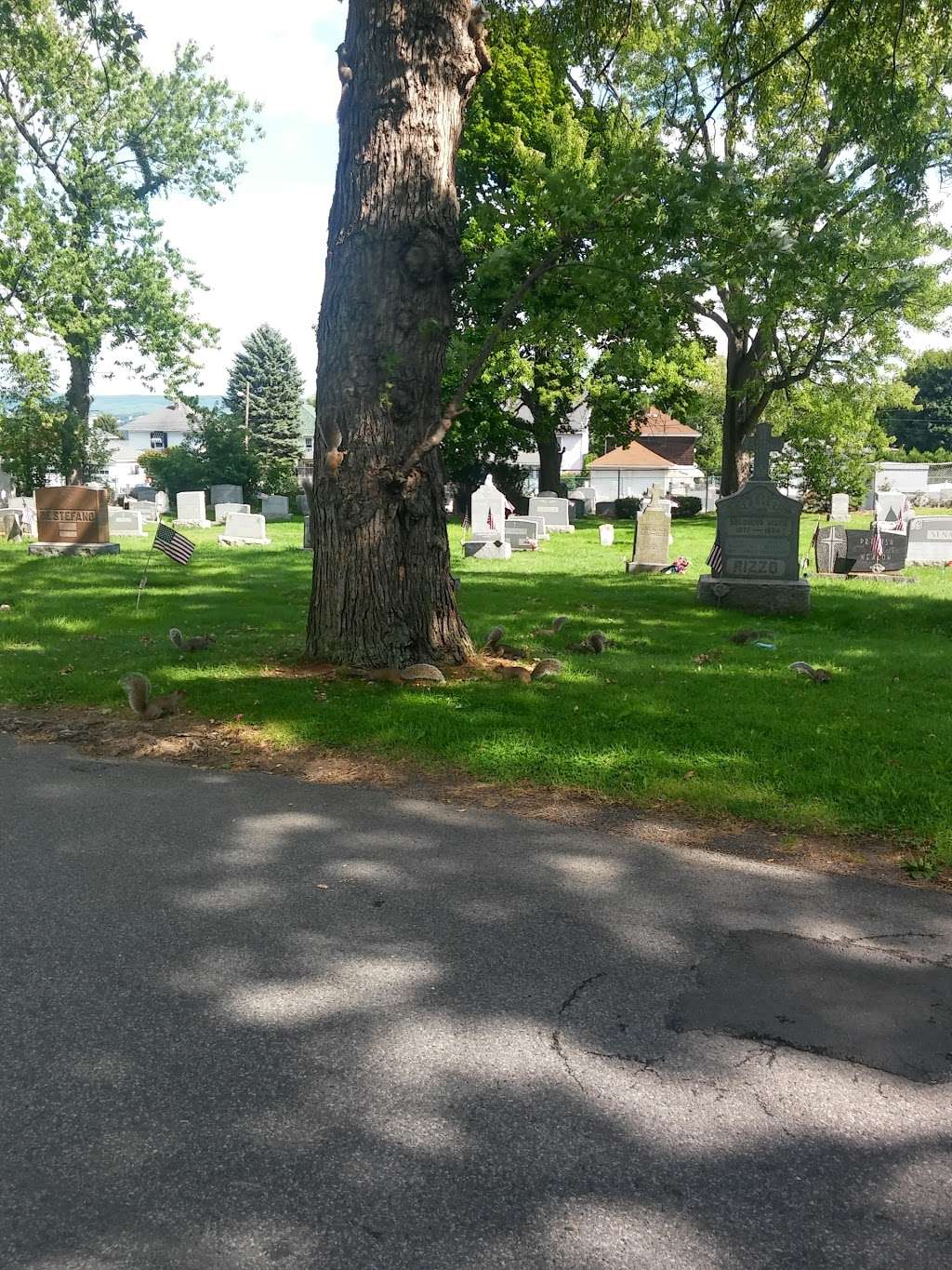 Cathedral Cemetery | 1708 Oram St, Scranton, PA 18504, USA | Phone: (570) 347-9251