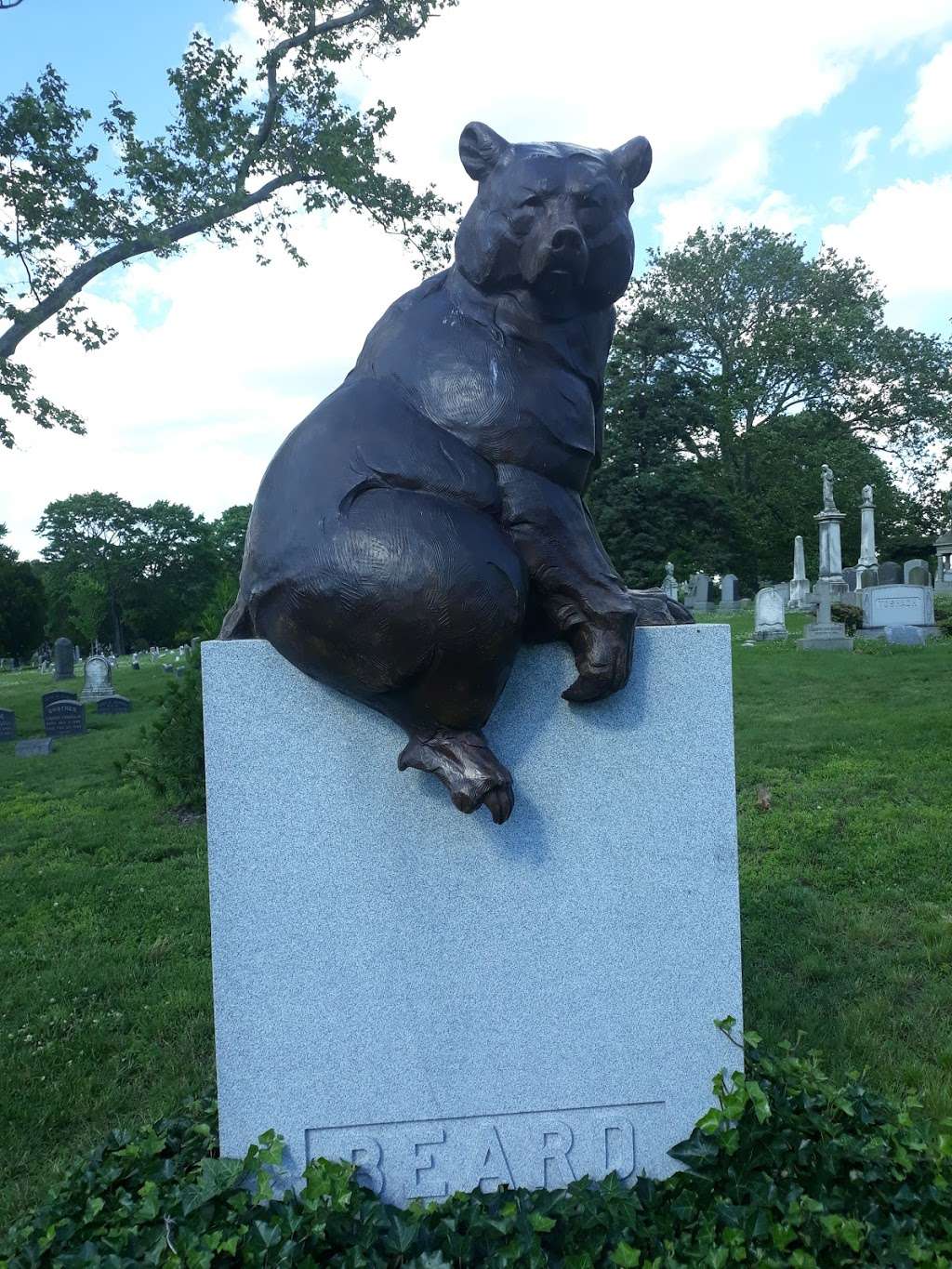 Hallmark Gold Crown | Staten Island, NY 10314, USA