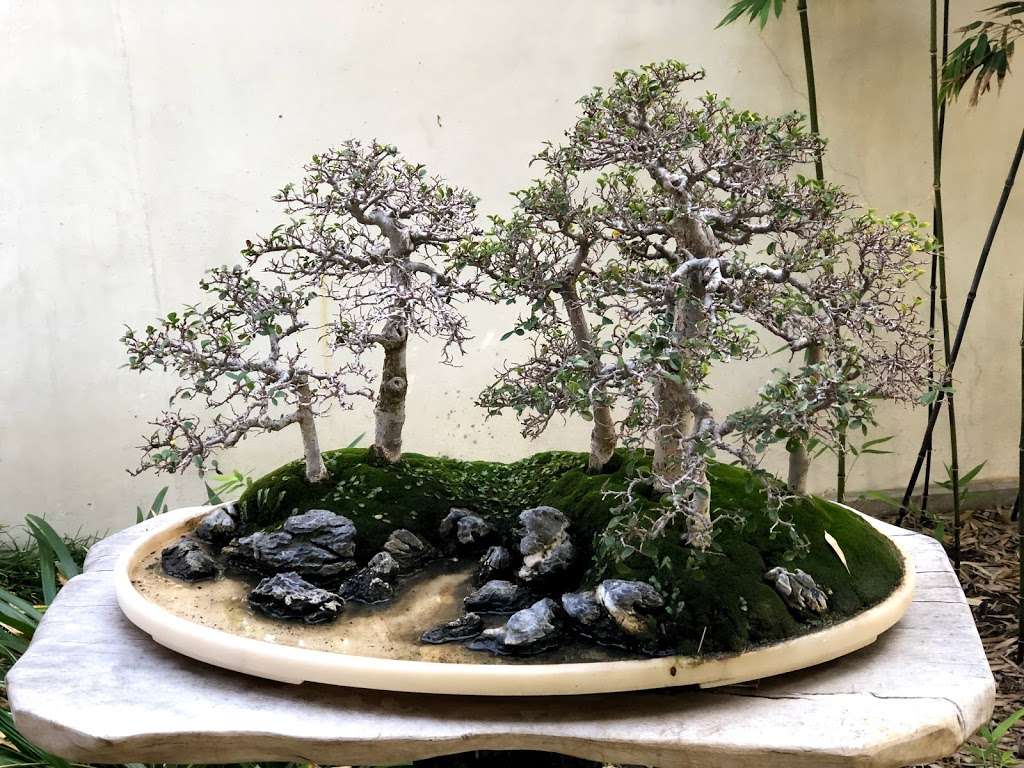 The Huntington Chinese Garden - Garden of Flowing Fragrance | The Huntington, San Marino, CA 91108, USA | Phone: (626) 405-2100
