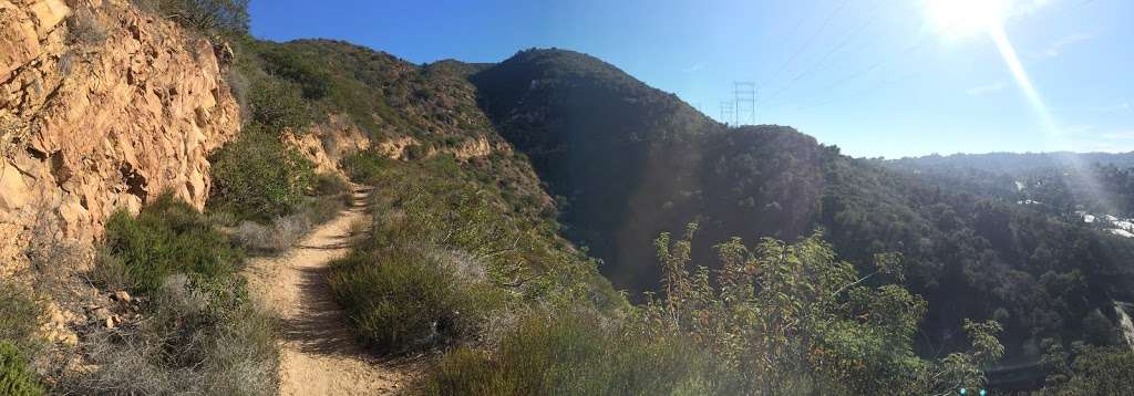 Wisdom Tree Trailhead | Unnamed Road, Los Angeles, CA 90068, USA