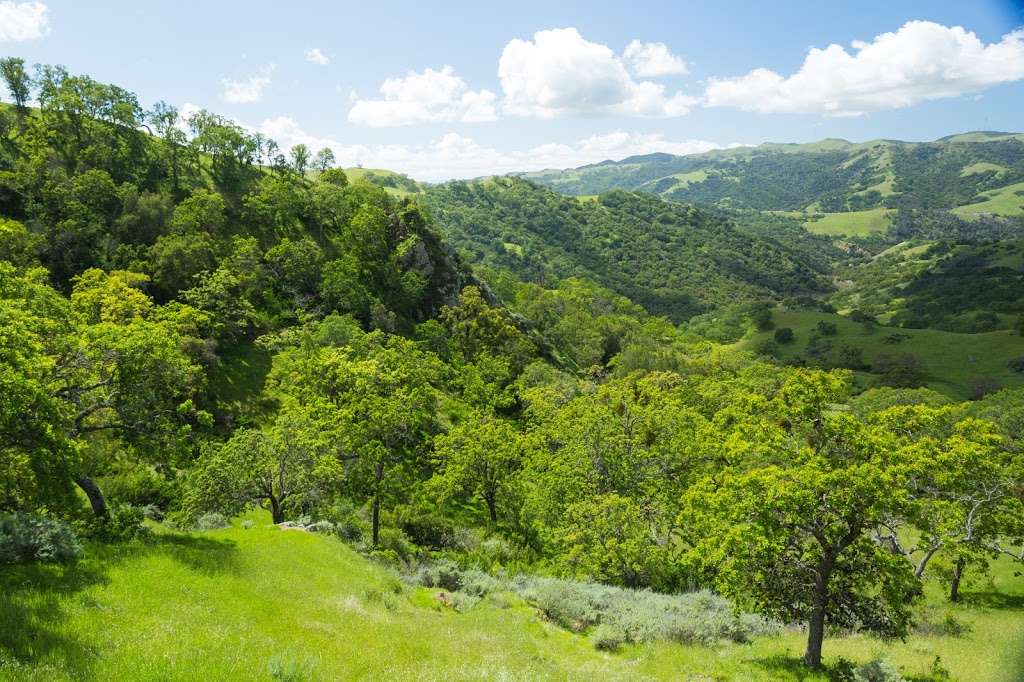 Hawks Nest Backpack Camp | Sunol, CA 94586, USA