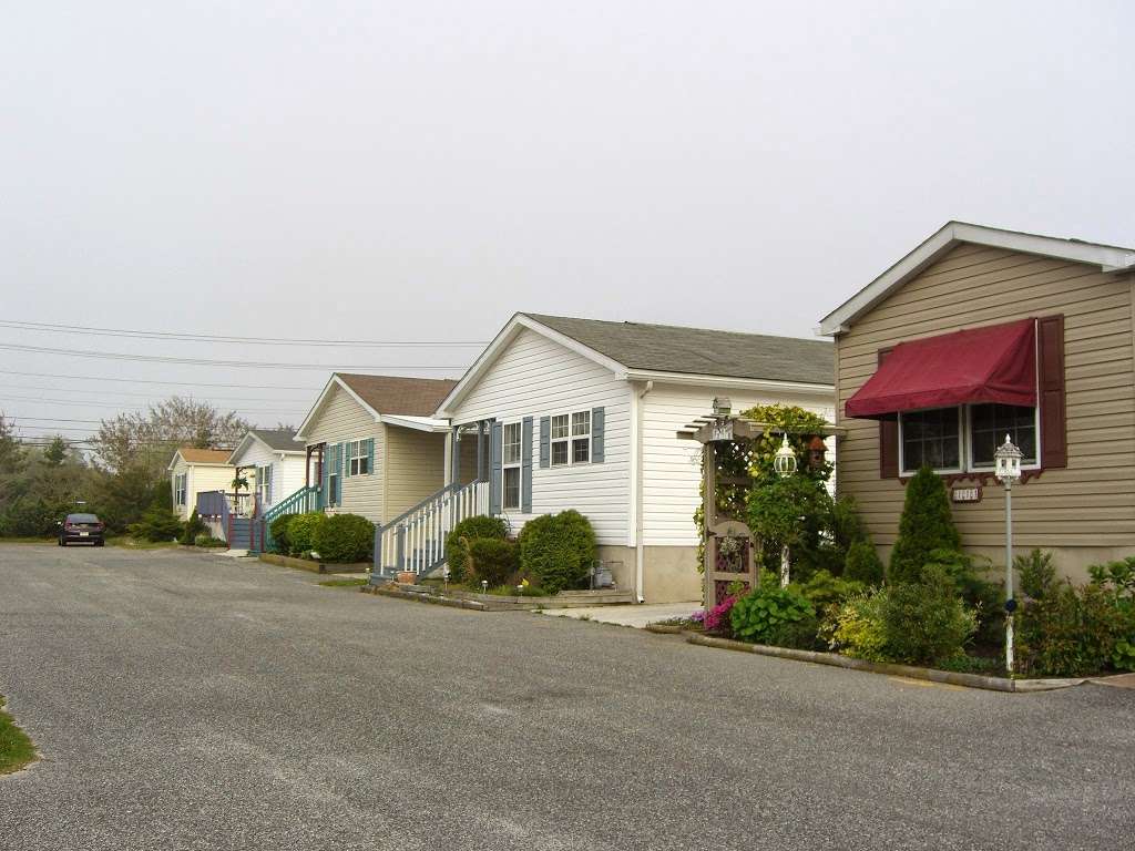 Cape May Crossing | 878 Route 109 South, Cape May, NJ 08204, USA | Phone: (609) 778-3120