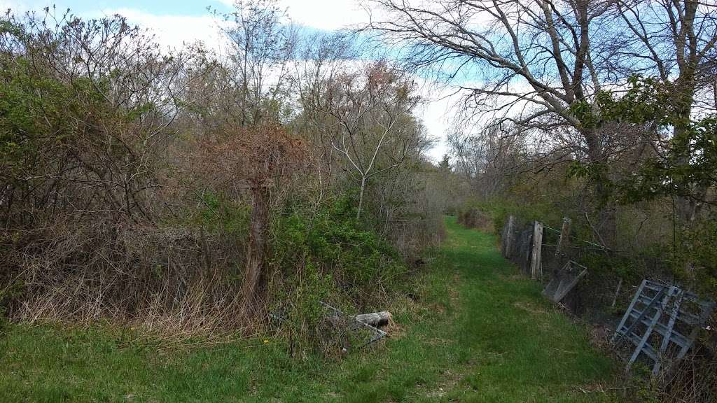 Beaver Brook Beagle Club | East Bridgewater, MA 02333, USA