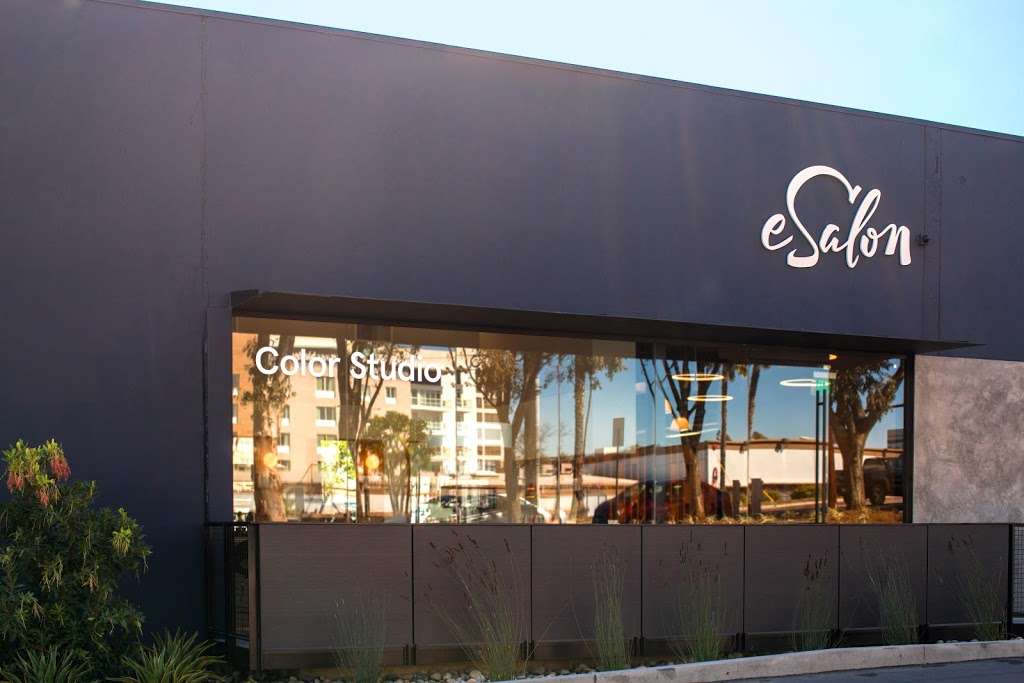 eSalon Color Studio | 1910 E Maple Ave, El Segundo, CA 90245, USA | Phone: (424) 290-5841