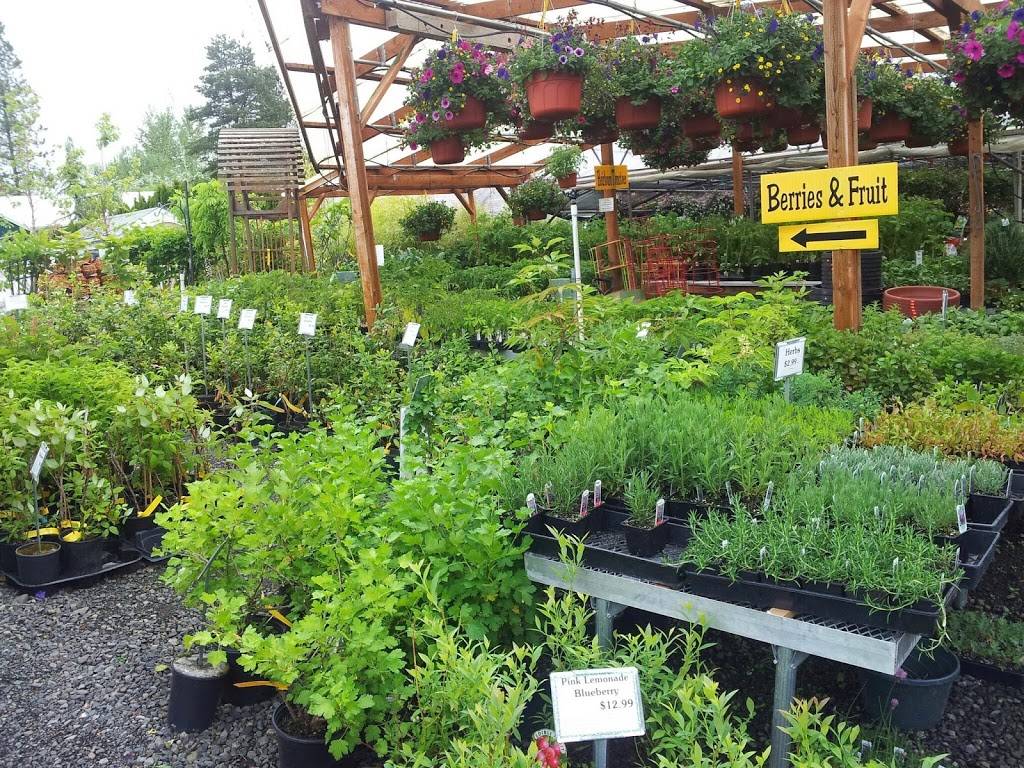 Tonys Garden Center | 10473 SE 172nd Ave, Happy Valley, OR 97086, USA | Phone: (503) 658-1844