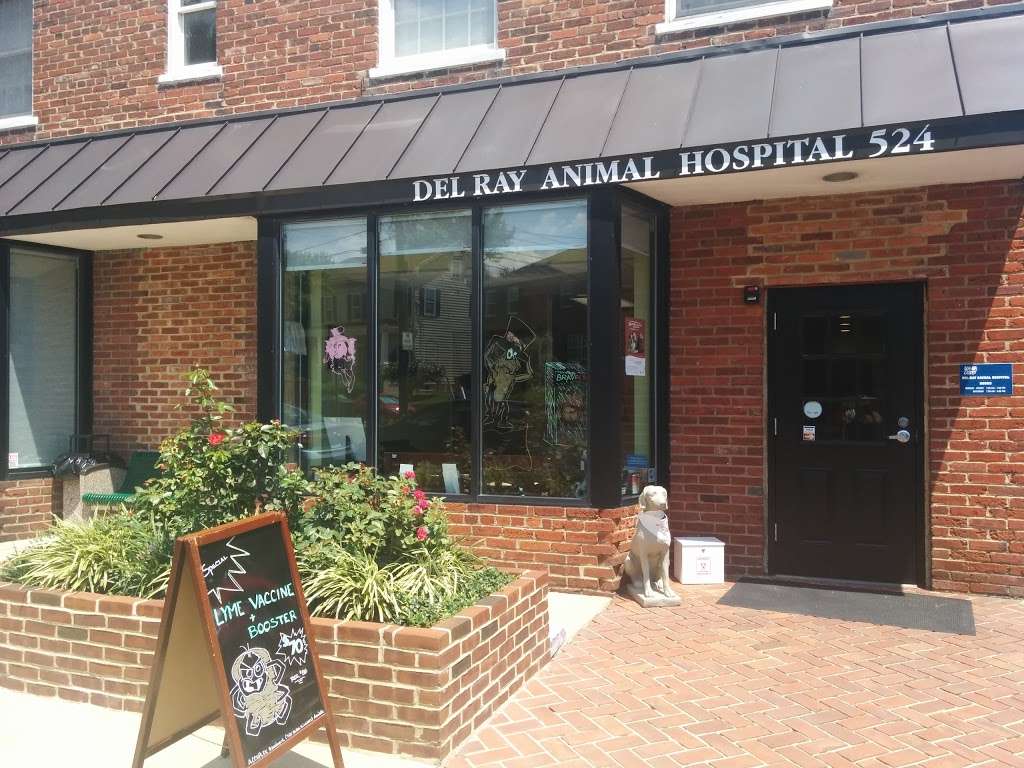 Del Ray Animal Hospital | 1147, 524 E Mt Ida Ave, Alexandria, VA 22301, USA | Phone: (703) 739-0000