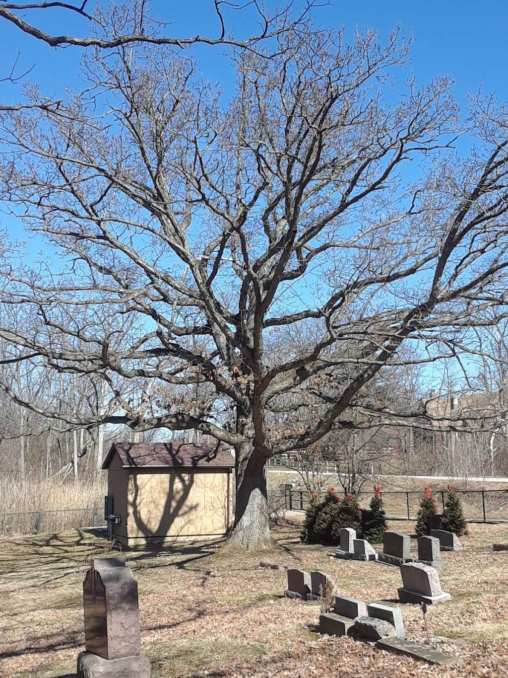 Sacred Heart Catholic Cemetery | 101st Street & Kean Ave, Palos Hills, IL 60465, USA | Phone: (773) 239-4422