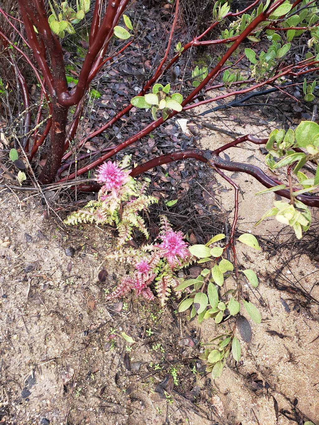 Fry Koegel Trail | Poway, CA 92064, USA