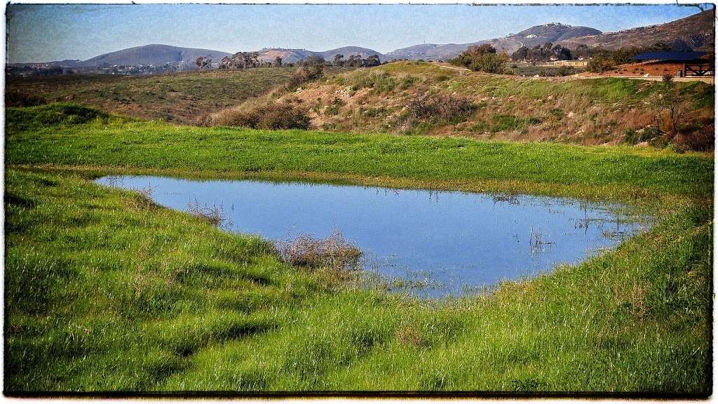 Vernal Pool | San Diego, CA 92129, USA