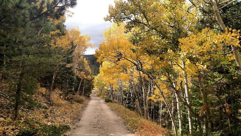 Caribou Ranch Open Space | caribou Rd, Nederland, CO 80466, USA | Phone: (303) 678-6200