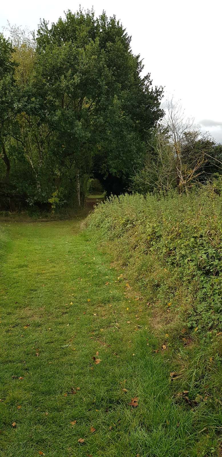 Corn Hill Meadow | Waltham Abbey EN9 2ER, UK