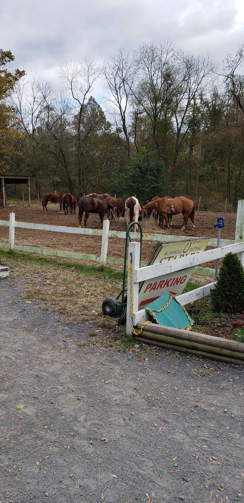 Fernwood Horseback Riding | 5785 Milford Rd, East Stroudsburg, PA 18302, USA | Phone: (888) 337-6966