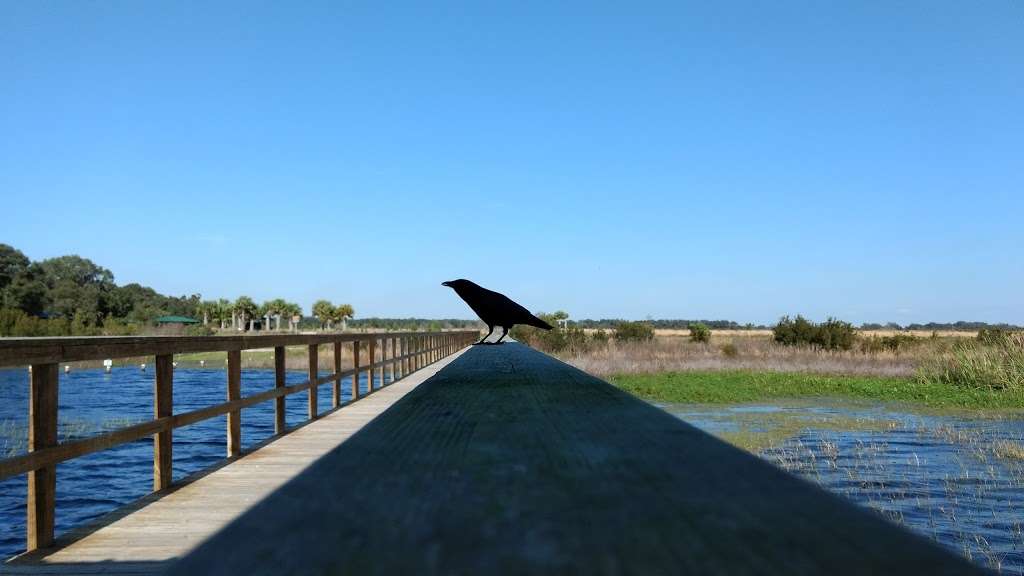 Twin Oaks Conservation Area | 2001 Macy Island Rd, Kissimmee, FL 34744, USA