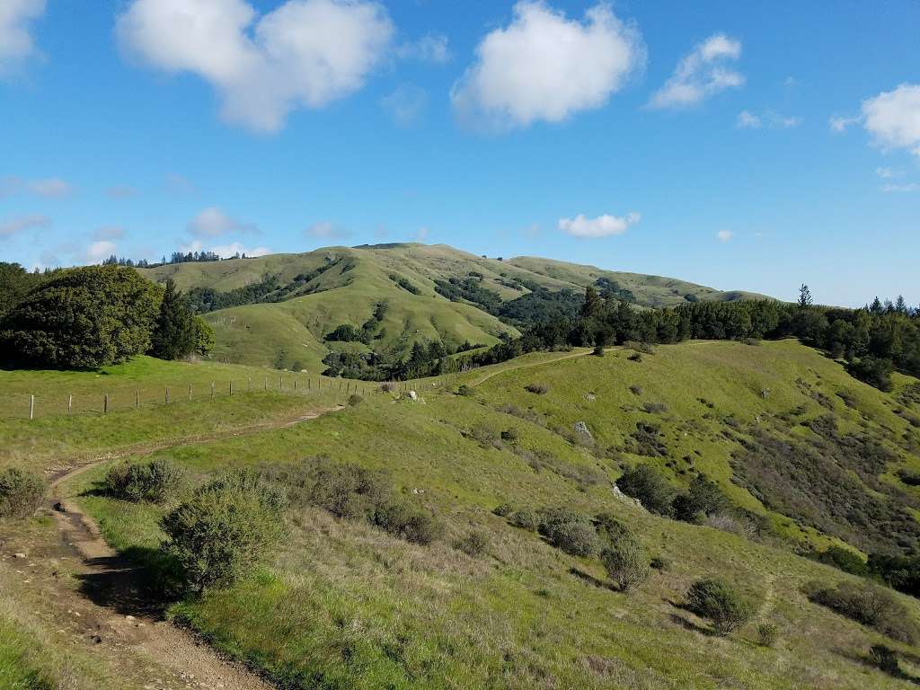 Whites Hill Open Space Preserve | Sir Francis Drake Blvd, Fairfax, CA 94930