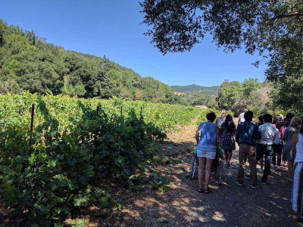 Sonoma Valley Wine Trolley | 21707 8th St E Suite B, Sonoma, CA 95476, USA | Phone: (707) 938-2600 Sonoma Valley Wine Trolley | 21707 8th St E Suite B, Sonoma, CA 95476, USA | Phone: (707) 938-2600