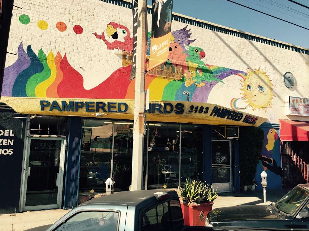 Pampered Birds | 3183 Glendale Blvd, Los Angeles, CA 90039, USA | Phone: (323) 662-7807