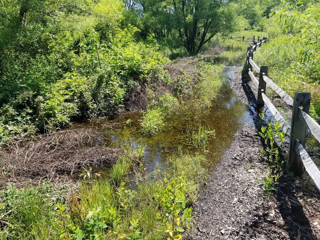 Village Grande At Camelot in 149 Heritage Loop, Glassboro, NJ 08028, USA