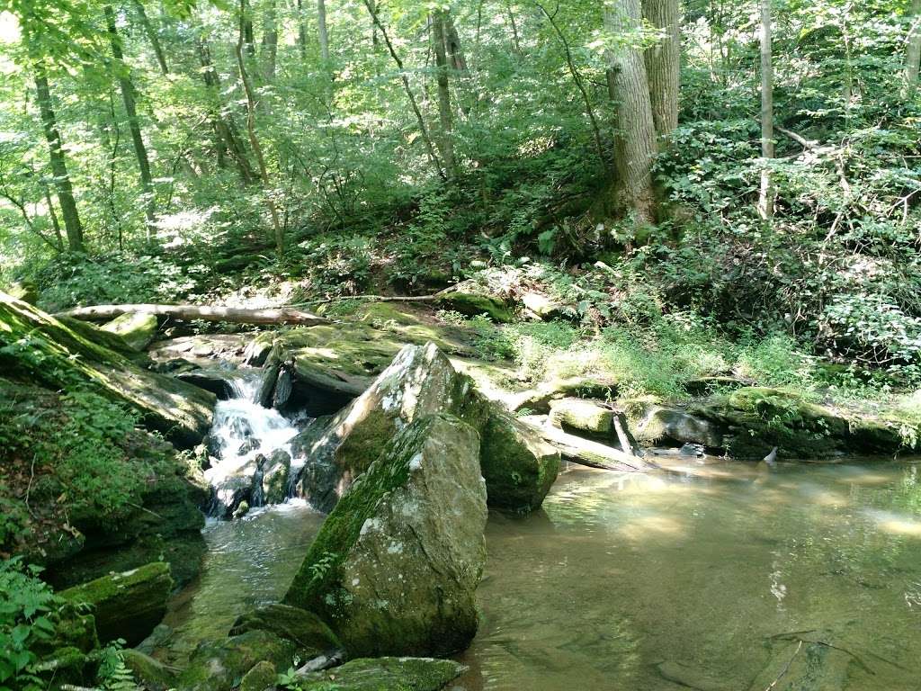 Trout Run Nature Preserve in Stump Rd, Pequea, PA 17565, USA