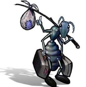 BugPros Termite & Pest Control | 131 Ken Culbert Jr. Rd, Purcellville, VA 20132, USA | Phone: (540) 338-6600
