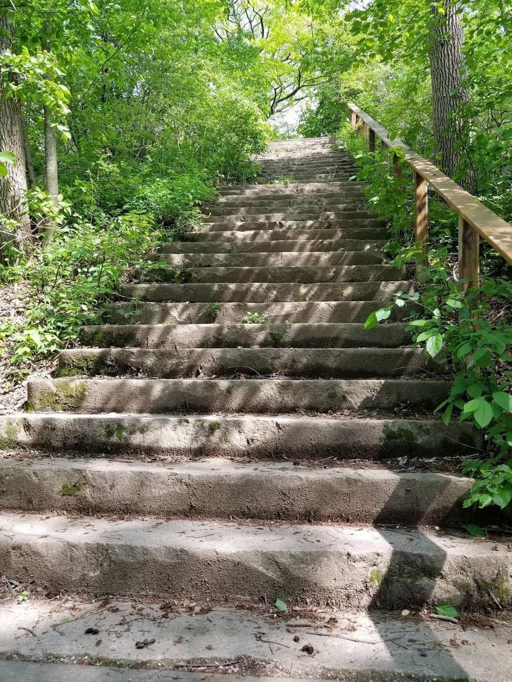 Riverside Park | 1500 E Riverside Pl, Milwaukee, WI 53211, USA | Phone: (414) 962-8809