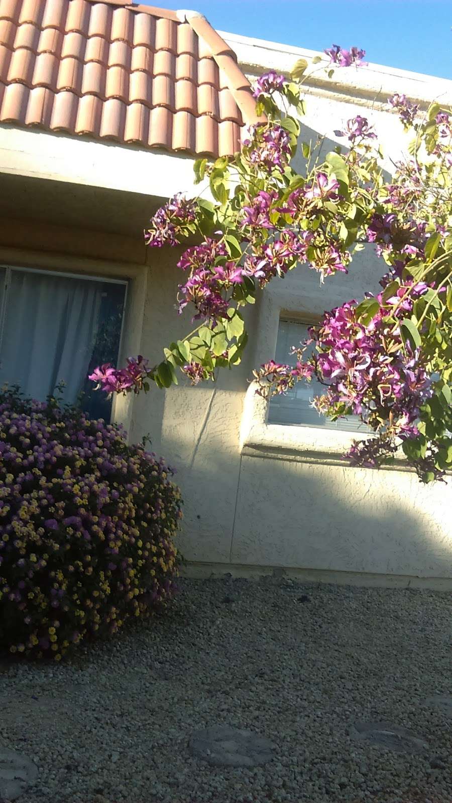 Persian Gardens HOA | N 16th Dr & West Campo Bello Drive, Phoenix, AZ 85023, USA | Phone: (623) 298-3321