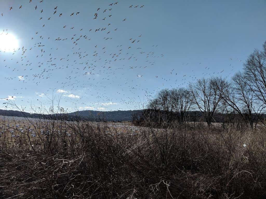 Middle Creek WMA Willow Point Parking Lot | Newmanstown, PA 17073, USA