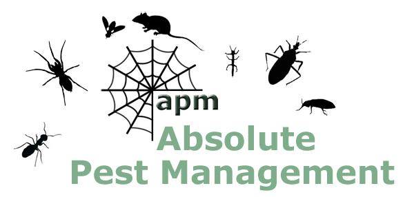 Absolute Pest Management | 35 Manchester Rd #11a, Londonderry, NH 03053, USA | Phone: (877) 600-2263
