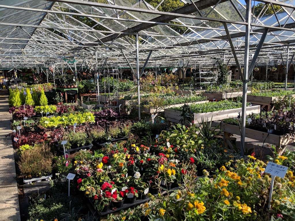 Doves Barn Nursery | 109 Copthorne Road, Felbridge, East Grinstead RH19 2PB, UK | Phone: 01342 410149