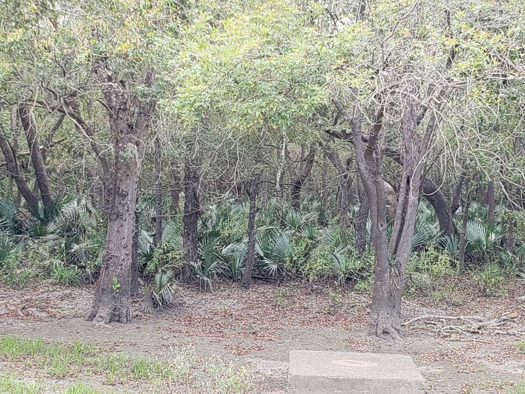 George Bush Park Bike Trail | Houston, TX 77082