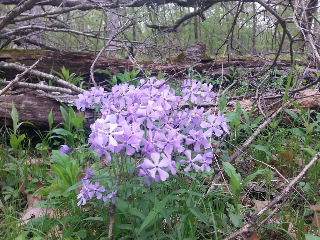 Camp Alphonse | 1393 W Dundee Rd, Palatine, IL 60067, USA | Phone: (800) 870-3666