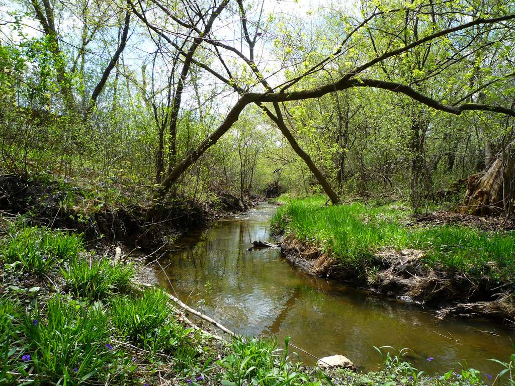 Willow Recreation Center | 3600 Lexington Dr, Hoffman Estates, IL 60192, USA | Phone: (847) 885-7500 Willow Recreation Center | 3600 Lexington Dr, Hoffman Estates, IL 60192, USA | Phone: (847) 885-7500