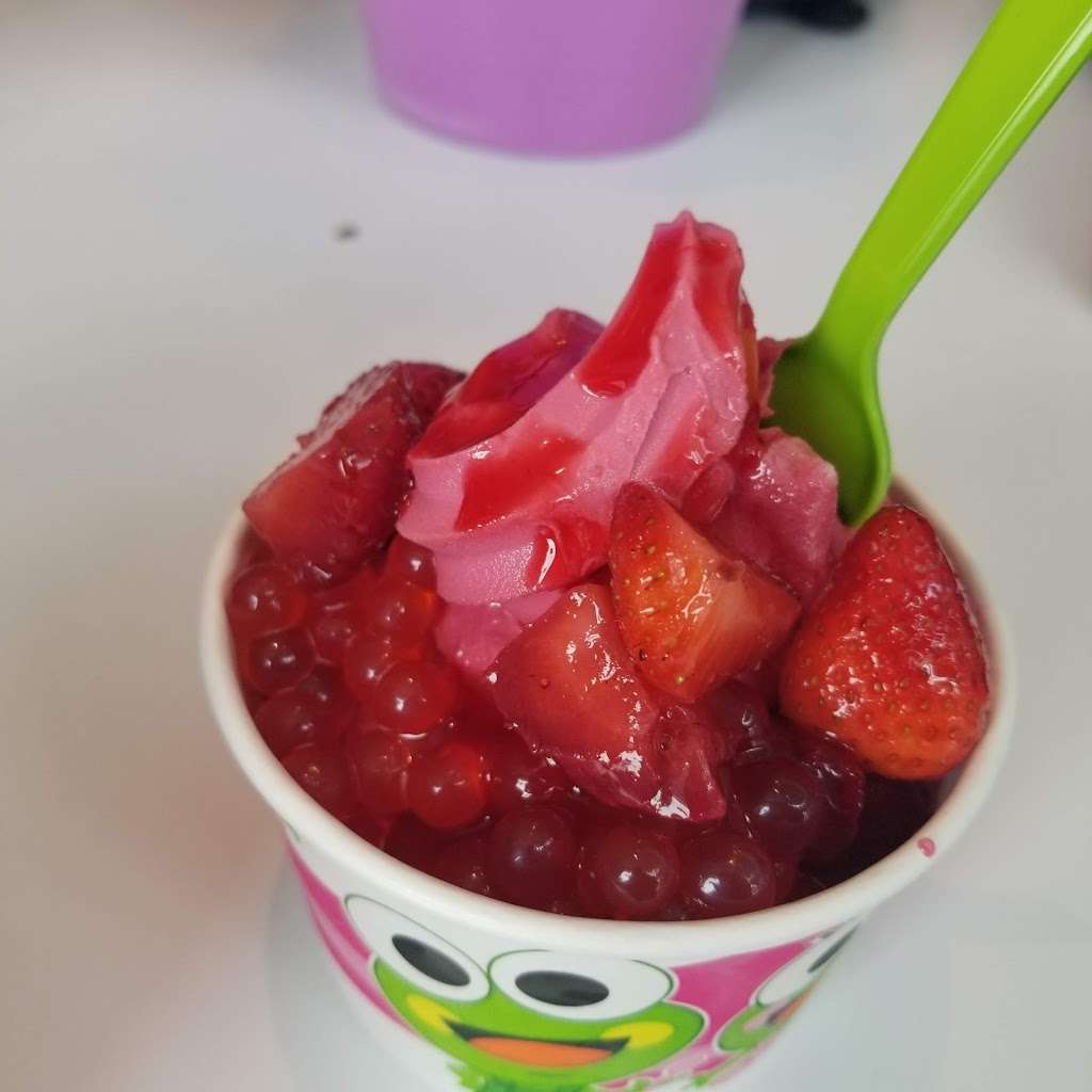 SweetFrog | 2721-E N Salisbury Blvd, Salisbury, MD 21801, USA | Phone: (443) 358-5111