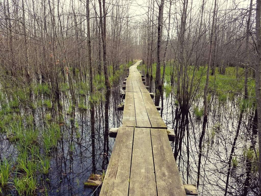 Beanblossom Bottoms Nature Preserve - Sycamore Land Trust | N Woodall Rd, Ellettsville, IN 47429, USA | Phone: (812) 336-5382