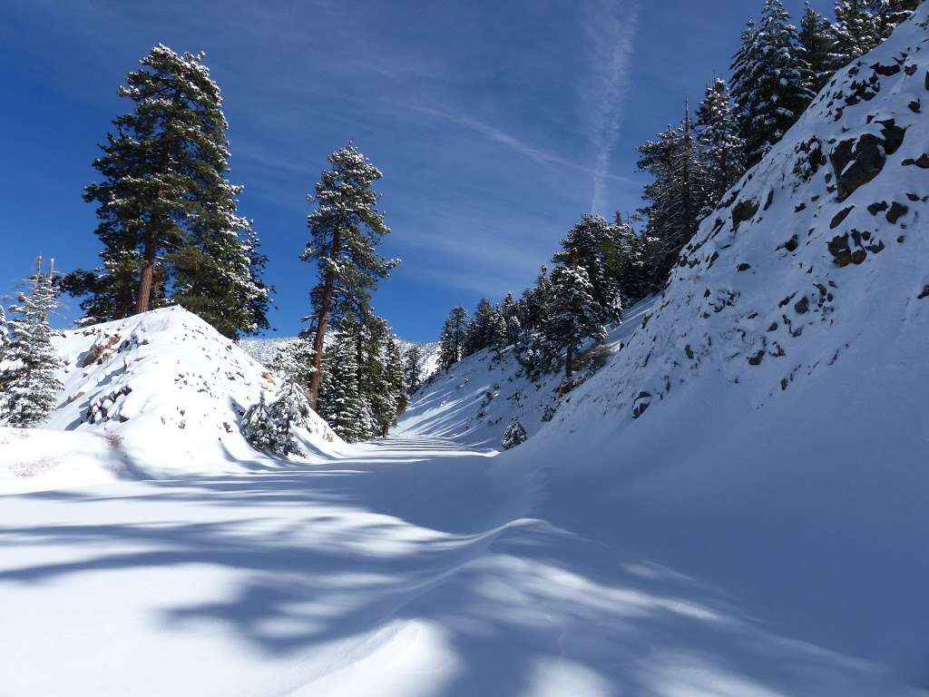 Pine Hollow Picnic Area | Pearblossom, CA 93553, USA