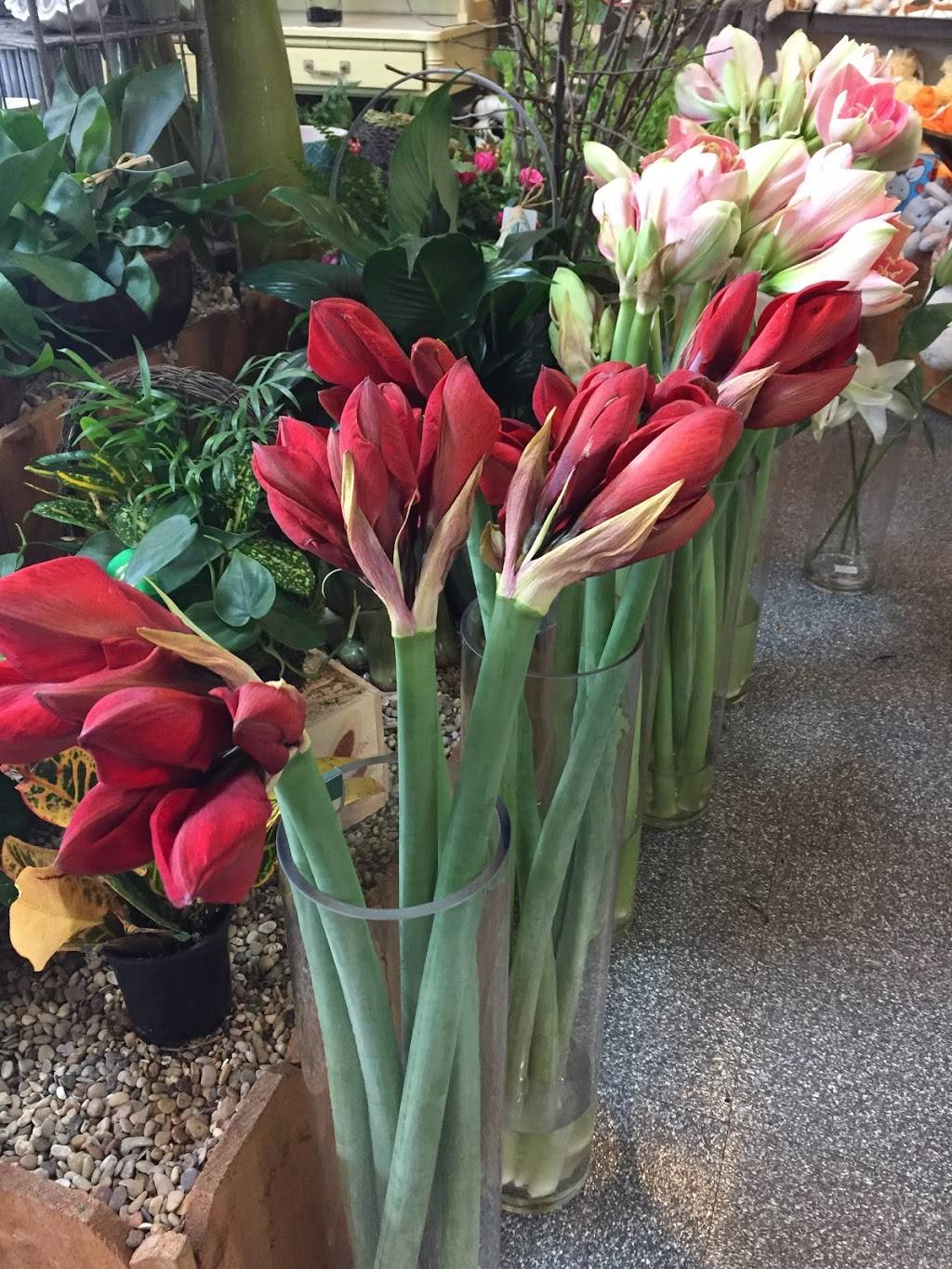 Forestwood Fine Flowers | 11818 Inwood Rd, Dallas, TX 75244, USA | Phone: (972) 233-4762